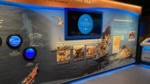 Experience an engaging museum exhibit display about the Navy’s environmental stewardship, featuring ocean images, maps, animal photos, informative text about Seal Beach National Wildlife Refuge, and a circular Stewards of the Sea logo illuminated on the wall. Experience an engaging museum exhibit display about the Navy’s environmental stewardship, featuring ocean images, maps, animal photos, informative text about Seal Beach National Wildlife Refuge, and a circular Stewards of the Sea logo illuminated on the wall.